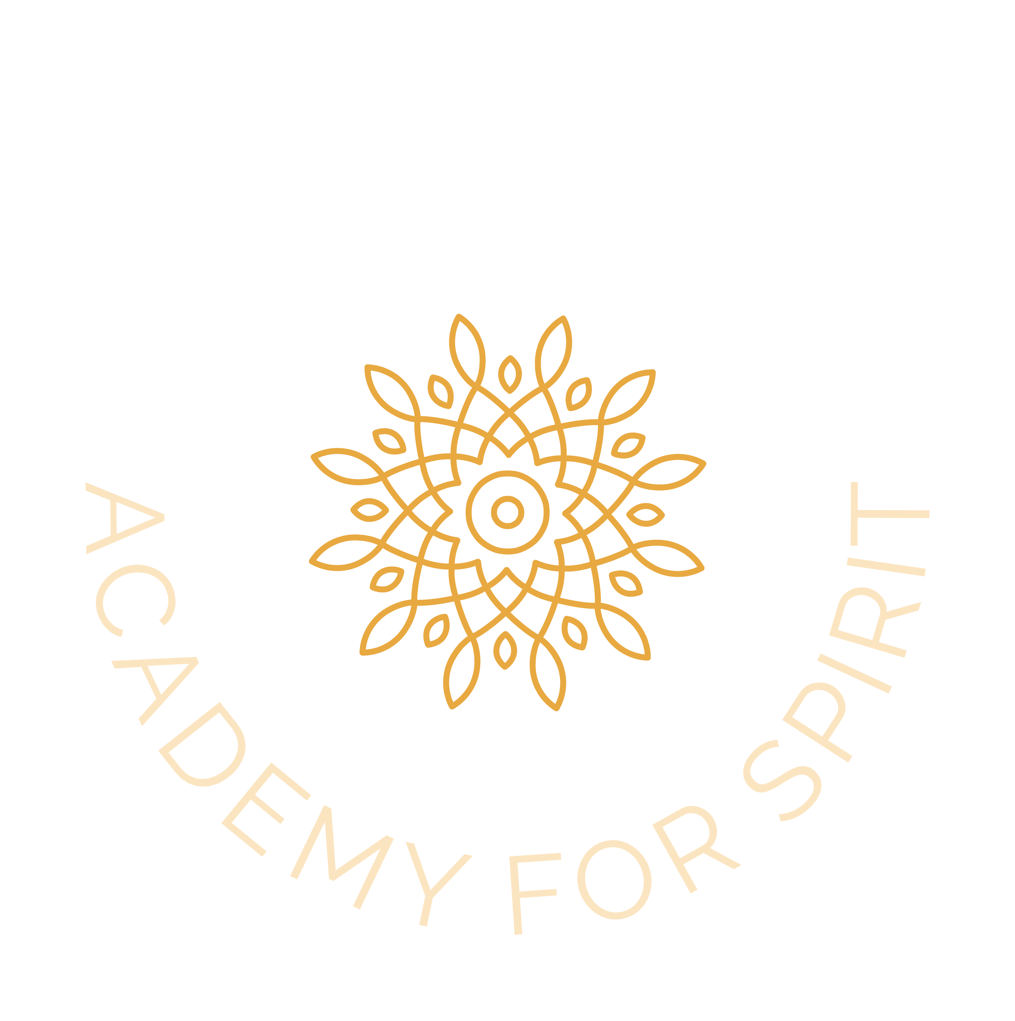 Silvia Walz – Academy For Spirit